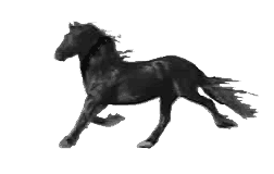 Klus - frÃ­sÃ¡k.gif
